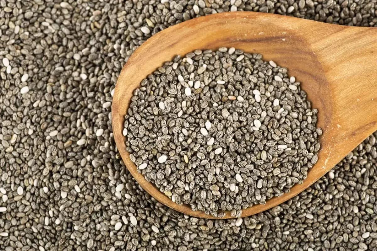 Chia Seeds: Nature’s Health Miracle For A Vibrant Life Chia Seeds: Nature’s Health Miracle For A Vibrant Life