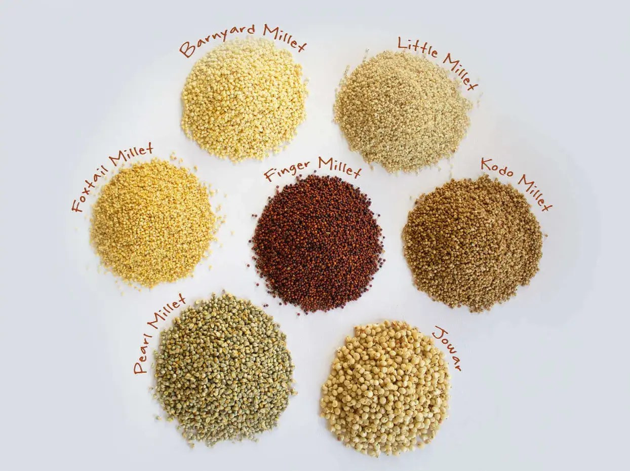 8 Types of Millets: A Nutritional Powerhouse for a Healthy Lifestyle
