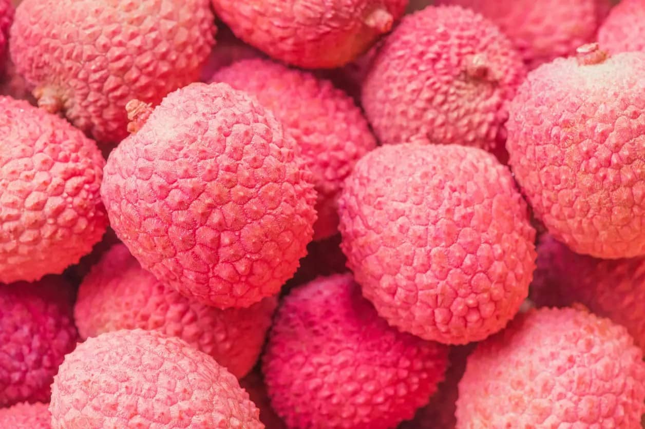 Unlock the Power of Litchi (Lychees): A Natural Remedy for Constipation, Kidney Stones, and Other Digestive Problems with 15 Health Benefits