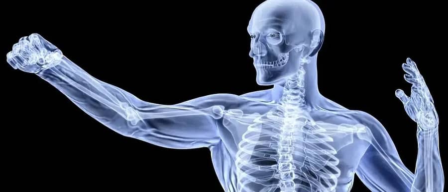 Bone Health - One of the 10 Surprising Health Benefits of Kiwis 