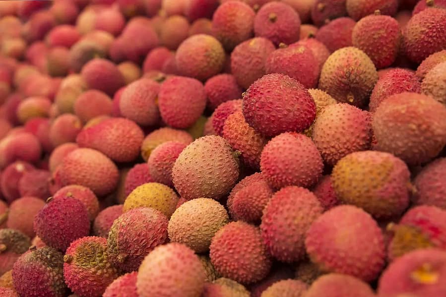 Unlock the Power of Litchis Lychees: A Natural Remedy for Constipation, Kidney Stones, and Other Digestive Problems