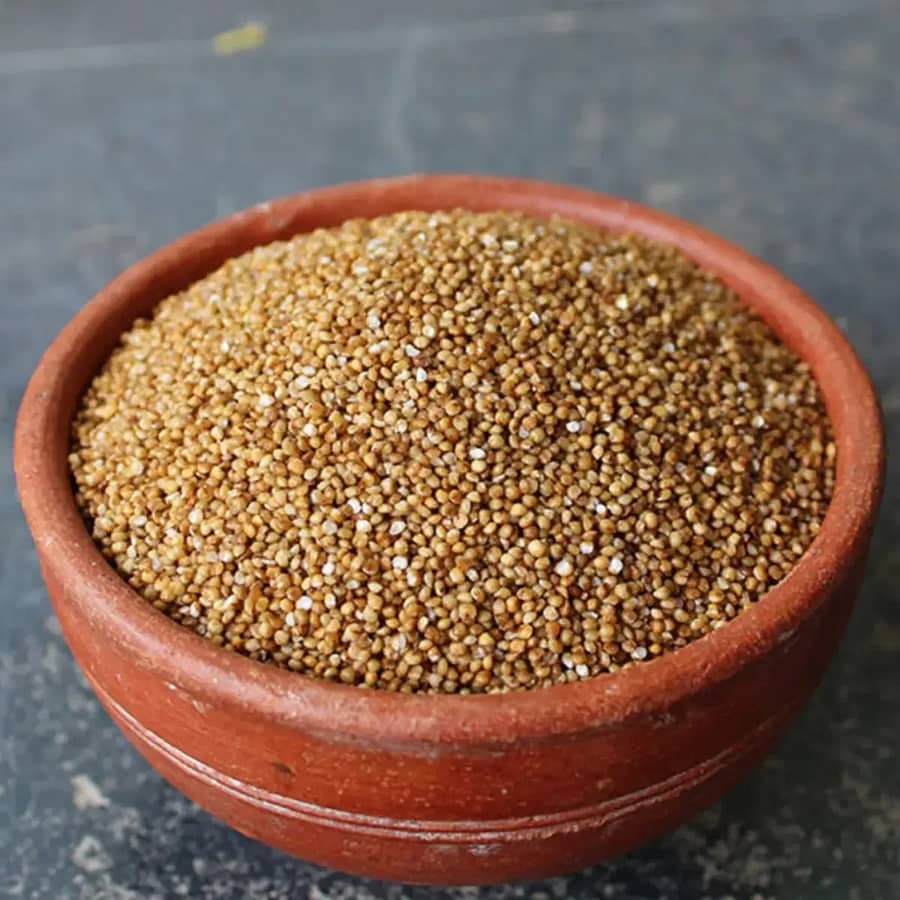 Kodo Millet (कोदो बाजरा) one of the 8 Types of Millets