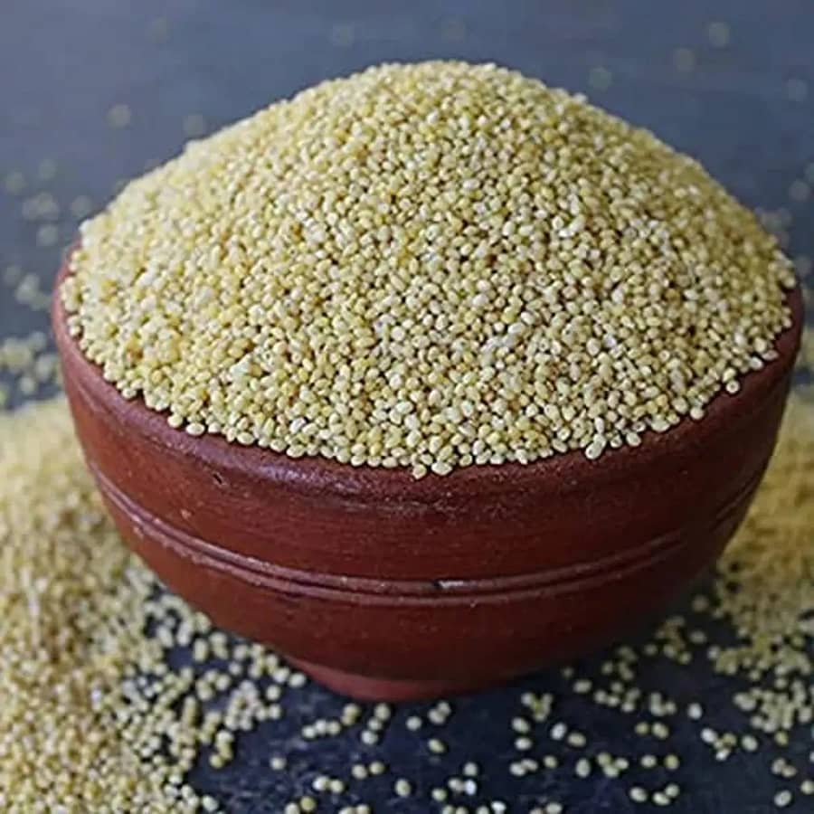 Little Millet (सामा , कुटकी) one of the 8 Types of Millets
