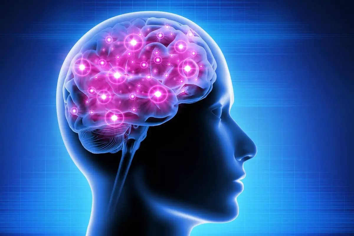 Improve Brain Function - 10 Impressive Health Benefits of Dates: A Nutritious and Delicious Superfood