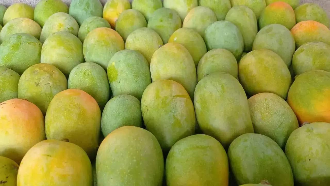 Health Benefits of Mango