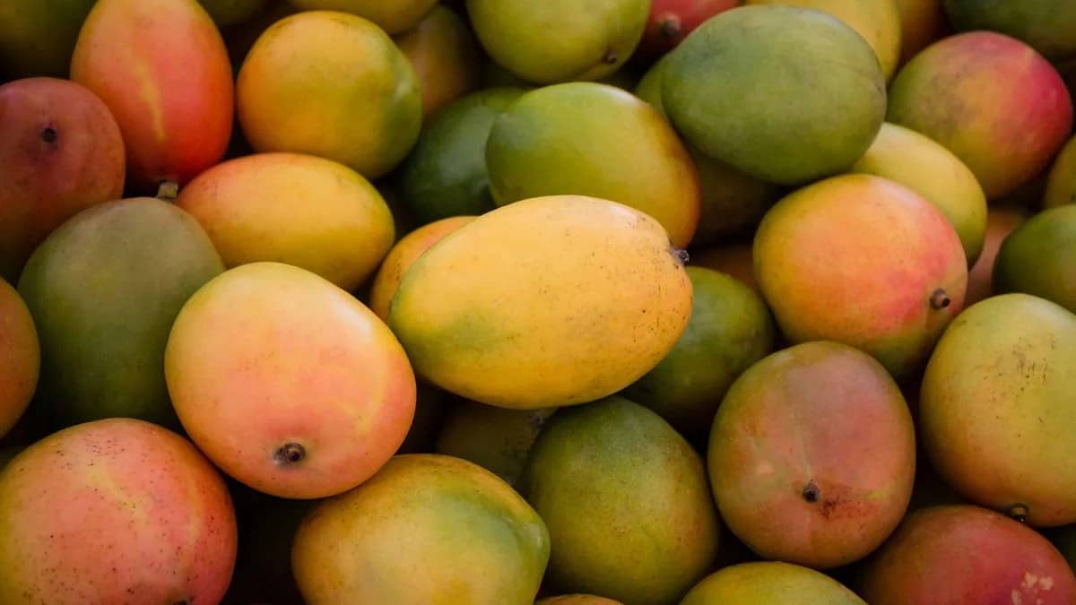 Health Benefits of Mango