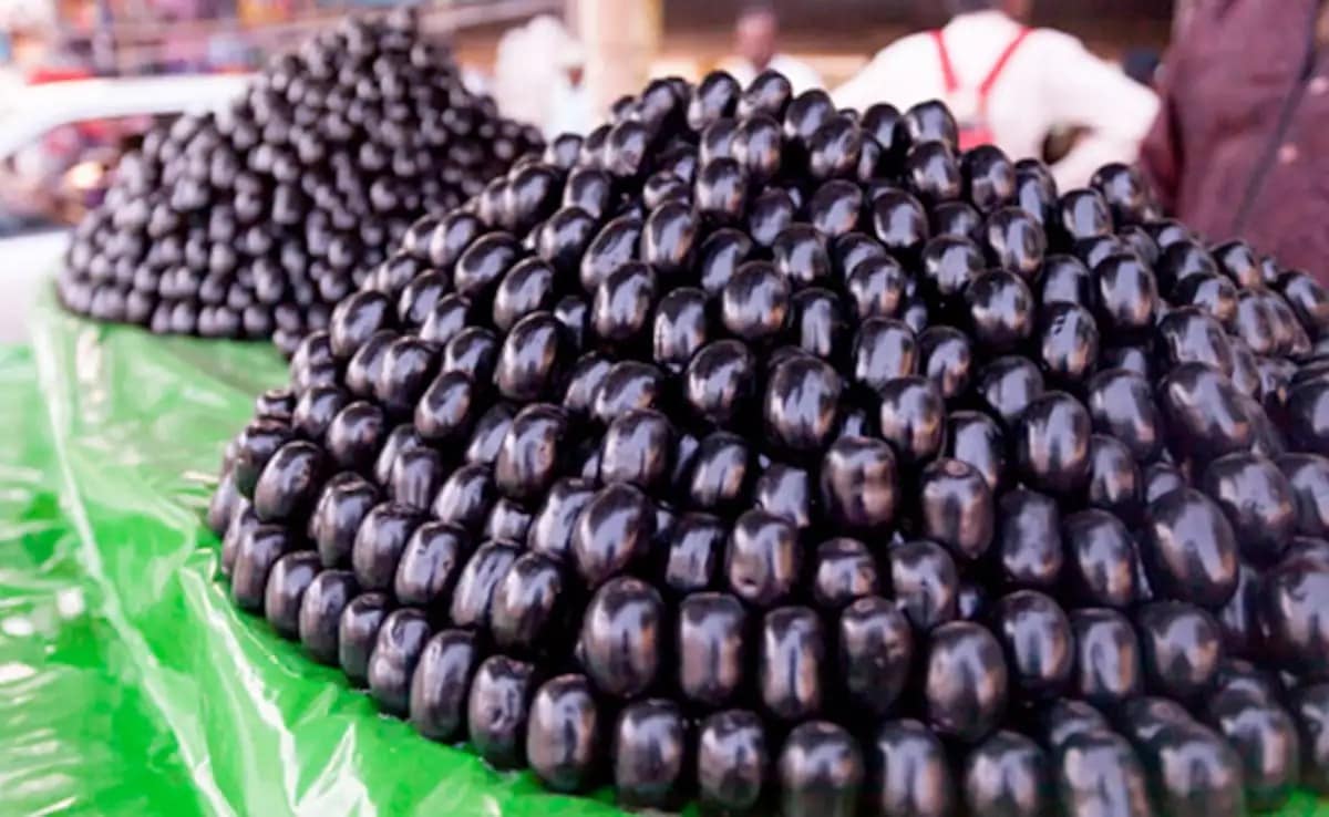 The Incredible Health Benefits of Jamun (Syzygium Cumini)